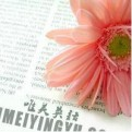 观文辨旨的头像