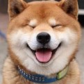 改造阿柚的头像