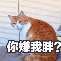 静隅集的头像