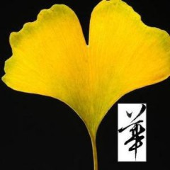 浅隅空间的头像