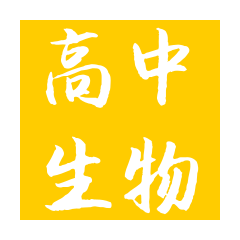 改造阿橙的头像