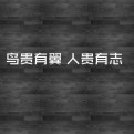 筑家数据局的头像