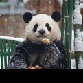 安筑宅记的头像