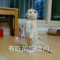 宅叙的头像