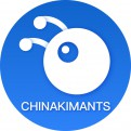 览隅寻根的头像