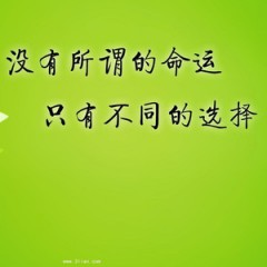 静叙宅集的头像